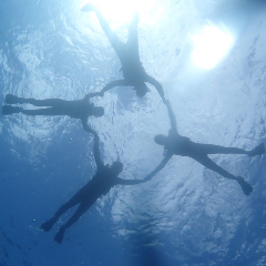 事務サポート、テスター/K.O